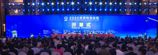 QQ图片20201220180939